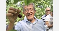 Varietal and technical developments in modern cherry cultivation