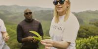 Birchall Tea puts £1m behind first TV campaign