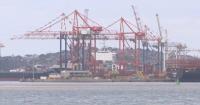 BRICS-backed financing helps transform South Africa's Port of Durban