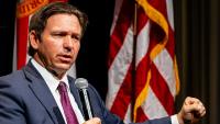 Florida Gov. DeSantis, Cabinet approve terror designation process