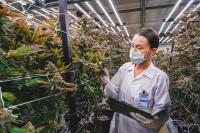 Innovative Industrial Properties: One Of The Most Mispriced High-Yield REITs Today