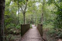As autumn arrives, explore these six scenic outdoor trails around Baton Rouge