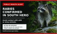 Health officials urge caution after rabid raccoon found in South Hero