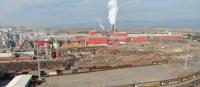 Timber Giant Accused of Forging Environmental Records to Hide Toxic Emissions