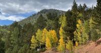 Colorado's popular leaf-peeping spots prepare for heavy traffic this weekend
