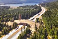 Washington state wildlife crossing celebrates 10,000 successful animal crossings