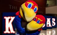 KU to host series of informational meetings for students with intellectual disabilities, parents and educators