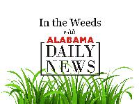 In the Weeds: A busy week for Alabama in Washington
