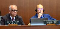 Chair of OAS development council calls for development to be placed at the centre of hemispheric stability