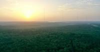 Dove baiting drives 141 citations on Louisiana season opener