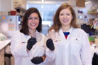 Scientists Explore Origins of Endometriosis Pain