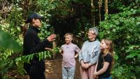 Birdwatching surge: Young New Zealanders take up hobby