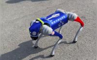 Robot dog assists Kyrgyz police in maintaining public order
