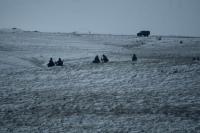 ‘The Victors’: a fresh and unsettling take on Malvinas lands right on time