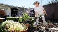 Sabrina Hahn: How to protect your plants from caterpillars and more Perth gardening advice
