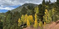Colorado’s popular leaf-peeping spots prepare for heavy traffic this weekend