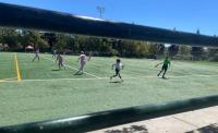 Substances, Screens, and Sports
