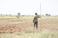 Planting the foundations of the Somali Region’s first tree seed system