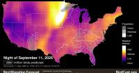 Minnesota bird migration: Millions flying south for seasonal migration