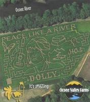 Dolly-themed corn maze in Polk County one of 20 US, Canada tributes