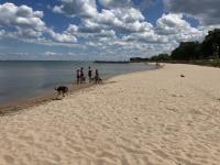 Letter: Benefits of dog beach should be for everyone