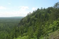 Groups fight to keep 16,000 acres of national forest in Michigan road-free