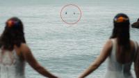 Alaska Wedding Ceremony Turns Into A Surprise Rare Animal Sighting