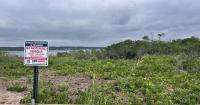 Ninigret Barrier Beach Restoration project works to revive coastal habitat
