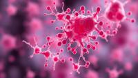 Elderly Blood May Hold Regenerative Power, Proteomic Map of Platelet-Rich Plasma Reveals