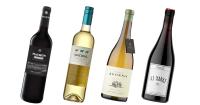 Not a Rioja or albariño in sight: How to pick a more unusual Spanish wine