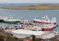 Government ‘strikingly blind’ to the value of fishing industry, report claims