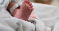 Albania records Europe’s steepest birth decline