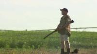Dove season opens on the same day across Texas