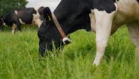 AI-powered vision technology to the fore at Ploughing