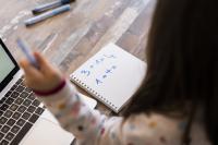 Home-Schooling in New York Triples Over 15 Years as Trust in Public Schools Fades