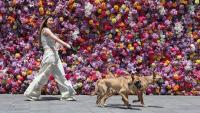 Karaoke for one: China’s $1 trillion ‘loneliness economy’ gives a glimpse of the world’s future