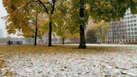 When will Michigan see its first snowfall this year? NWS provides guide