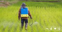 Pesticides Poison Nearly Half Of Farmers Every Year, Finds Study