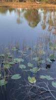 Lawsuit Exposes Charlotte County’s Blueprint for Bypassing Public Oversight