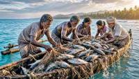 Big Catch: SL Champions small-scale fishers