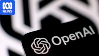 AI inquiry urges independent safety watchdogs inside companies