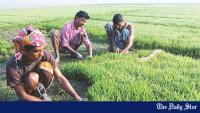 Bangladesh’s El Niño risk is bigger than weather