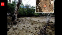 Archaeologists found a 1,200-year-old shell island in Fiji, possibly formed from food waste