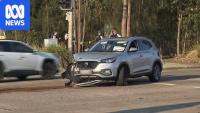 Wild pursuit and carjacking across Sydney's west leaves two children injured