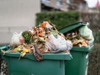 First national week to tackle food waste starts in Switzerland