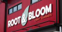 Local cannabis company receives over $15M in financing