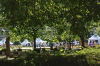 Book Alley to Host Author Events and Art Awards