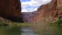 Are our environmental views based on human bias? | ECOVIEWS