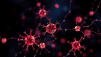 New Computational Framework Tracks Cell Migration Across Space and Time