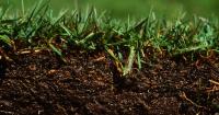 Homegrown NH: The best time to work on your lawn